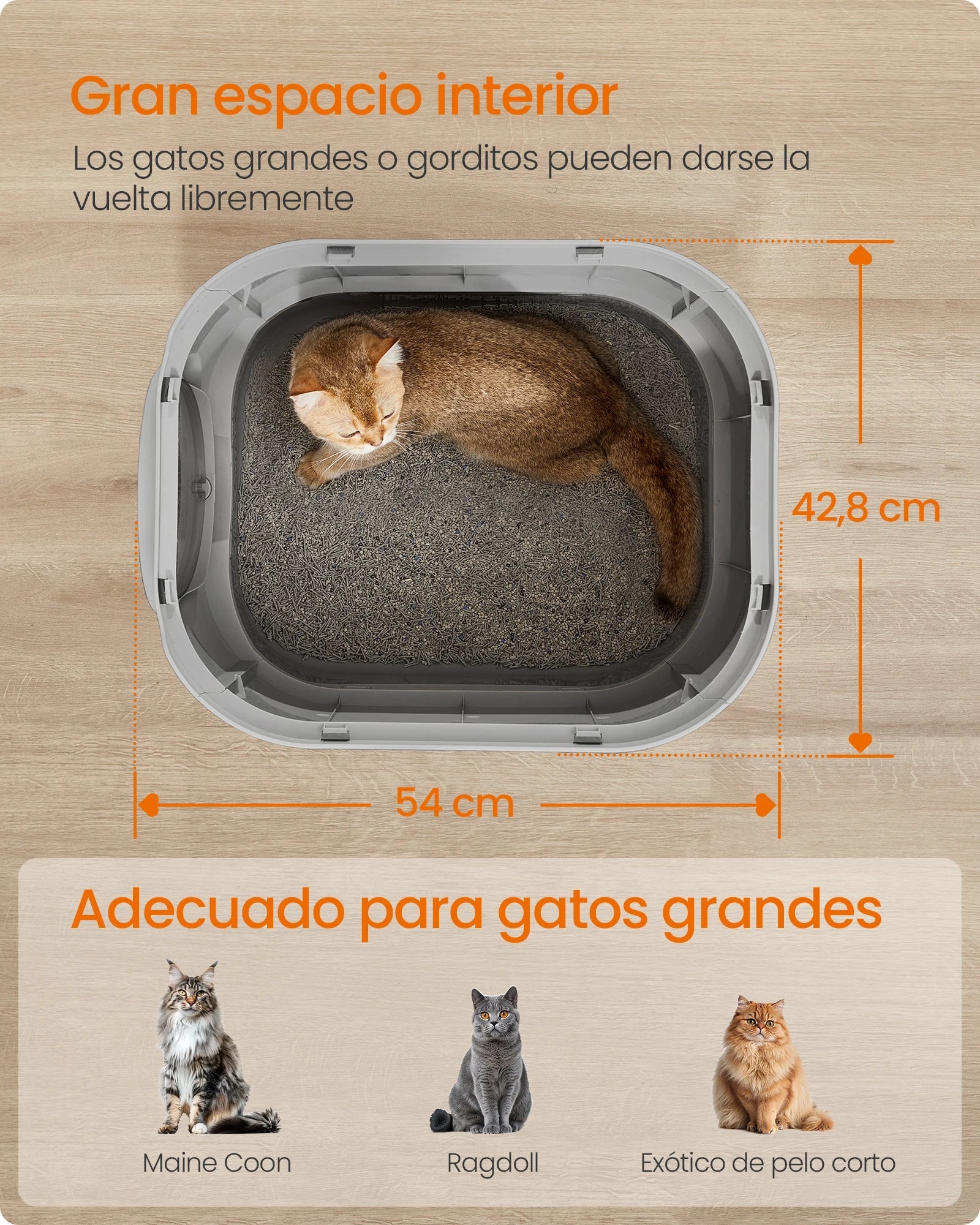 Arenero para Gatos con Tapa y Bandeja Extraíble — Amplio, Sin Fugas y Sin Olor - TrendyNova