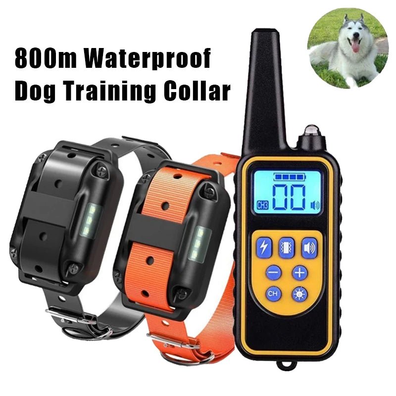 Collar de Adiestramiento Profesional con Mando a Distancia — IP67 Impermeable, 800m, Recargable - TrendyNova